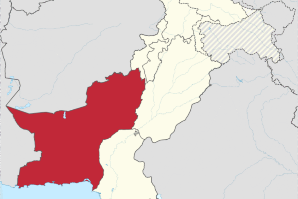 Balochistan Liberation Army as foreign terrorist organization ...