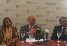 Pakistan seeks comprehensive approach to peace in South Asia