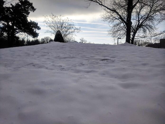 2019-Virginia-Snowfall.jpg