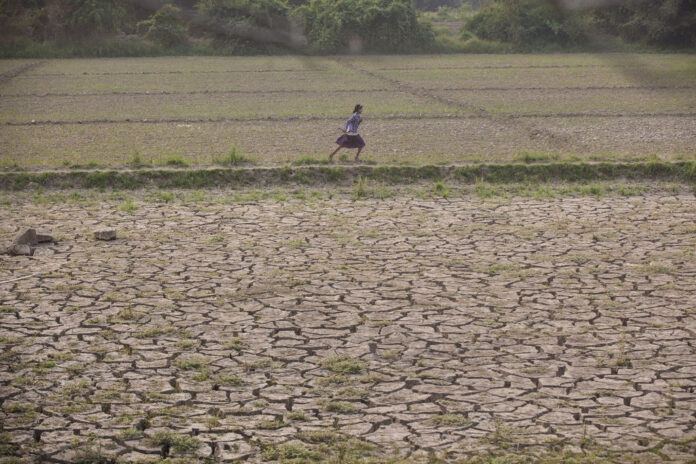 A-once-green-field-dried-by-soil-erosion-in-Mynmars-Sagaing-region.jpg