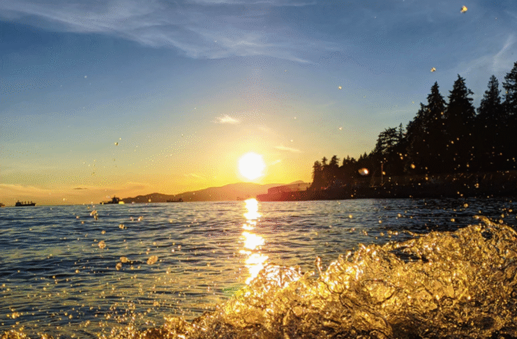 What’s Really Driving Brutal Heat Waves Hitting North America and Europe