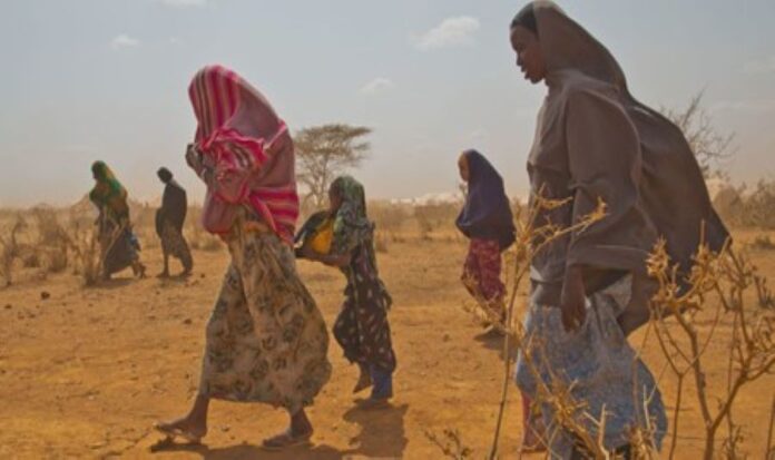 A-UNICEF-photo-shows-Somalia-refugees-arriving-in-Ethiopia-1.jpg