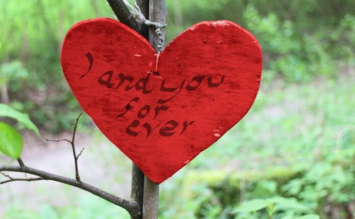 A-wooden-heart.jpg | Aminu Jamiu Aminu Jamiu