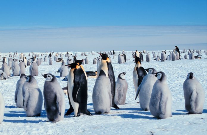 Antarctica ice loss Antarctica ice loss