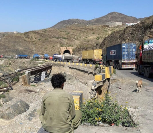 A Diplomatic Bid or Dead End? Taliban Courts US Investment as Isolation Deepens trade