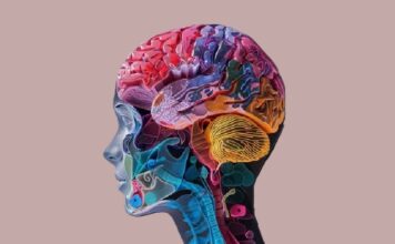 Diet, Exercise, Less Pollution Can Drastically Cut Dementia Risk