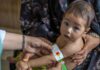 Afghanistan Hunger Crisis Reaches Critical Threshold as Funding Collapses