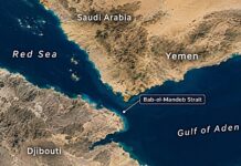 Yemen Mounts Campaign to Secure Bab al-Mandab Sites as Makkah Alliance Meets