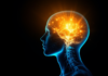 A Light Switch for the Brain, a Nobel Prize for an American and Two German Scientists