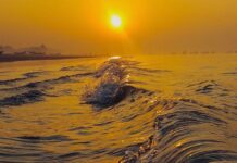 Climate Toll: 710,000 Heat Deaths in 2023 Linked to Warming