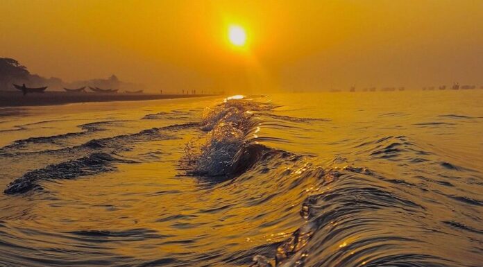Climate Toll: 710,000 Heat Deaths in 2023 Linked to Warming